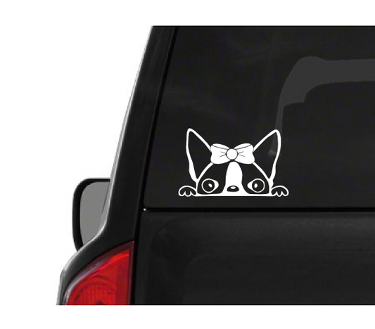 Peeking Boston Terrier Girl (A25) Vinyl Decal Sticker Car/Truck Laptop/Netbook Window