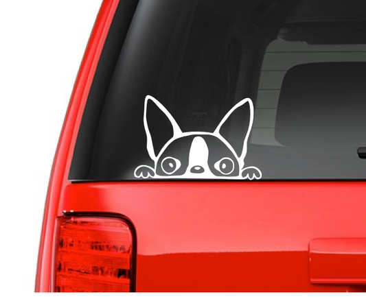 Peeking Boston Terrier (A14) Vinyl Decal Sticker Car/Truck Laptop/Netbook Window