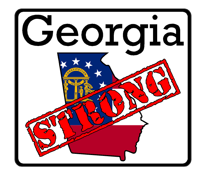 Georgia State (K11) Strong Vinyl Decal Sticker Car/Truck Laptop/Netbook Window