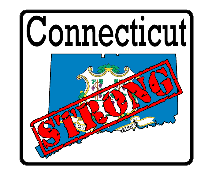 Connecticut State (K9) Strong Vinyl Decal Sticker Car/Truck Laptop/Netbook Window
