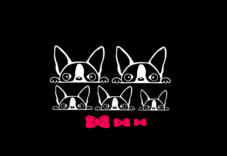 Peeking Boston Terrier Family (F21) Vinyl Decal Sticker Car/Truck Laptop/Netbook Window