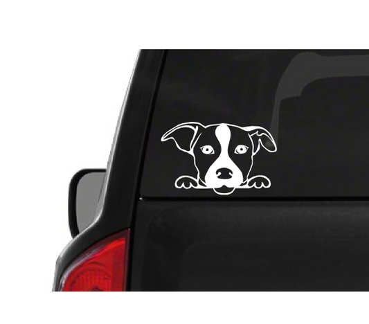 Peeking Jack Russell Terrier (A27) Vinyl Decal Sticker Car/Truck Laptop/Netbook Window