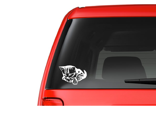Kitten (A19) Vinyl Decal Sticker Car/Truck Laptop/Netbook Window