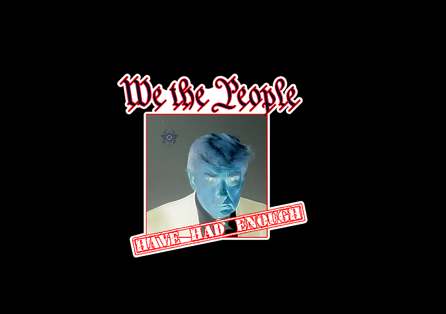 We The People (F13) Have Had Enough Trump Mugshot Make America Great Again USA Vinyl Sticker Car American Window Decal