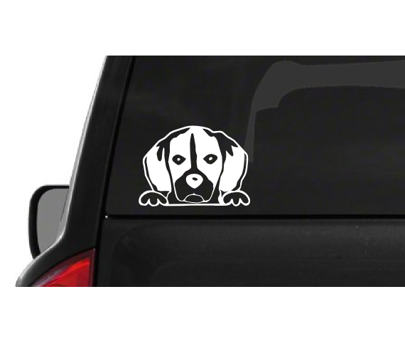 Peeking Beagle (A26) Vinyl Decal Sticker Car/Truck Laptop/Netbook Window