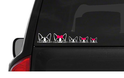 Peeking Boston Terrier Family (F21) Vinyl Decal Sticker Car/Truck Laptop/Netbook Window