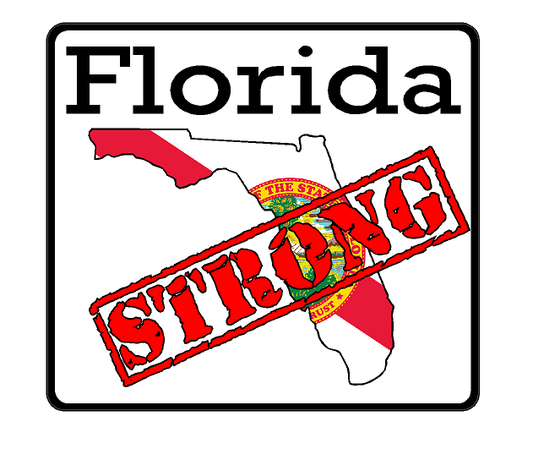 Florida State (K1) Strong Vinyl Decal Sticker Car/Truck Laptop/Netbook Window
