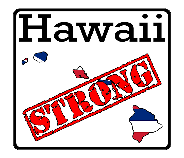 Hawaii State (K12) Strong Flag Vinyl Decal Sticker Car/Truck Laptop/Netbook Window