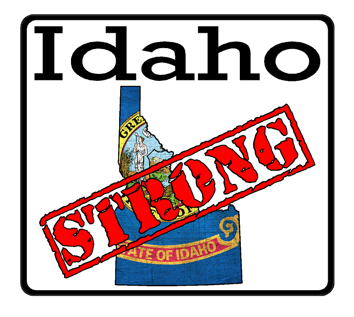 Idaho State (K13) Strong Flag Vinyl Decal Sticker Car/Truck Laptop/Netbook Window