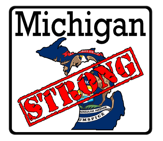 Michigan State (K23) Strong Flag Vinyl Decal Sticker Car/Truck Laptop/Netbook Window