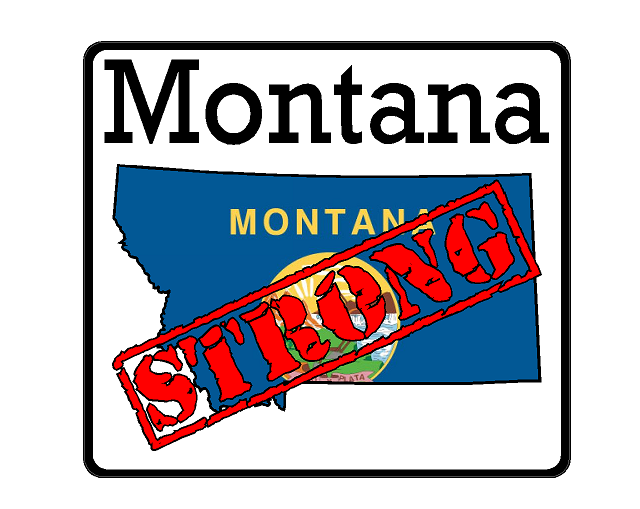 Montana State (K27) Strong Flag Vinyl Decal Sticker Car/Truck Laptop/Netbook Window