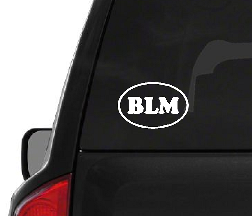 Black Lives Matter (M77) BLM Circle Vinyl Decal Sticker Car Window