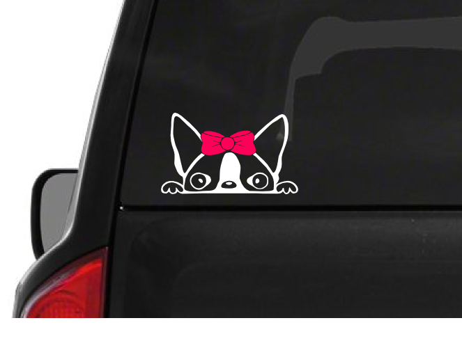 Peeking Boston Terrier Girl (A24) Pink Bow Vinyl Decal Sticker Car Laptop Window
