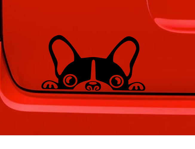 Boston Terrier (A2) Peeking Vinyl Decal Sticker Car/Truck Laptop/Netbook Window
