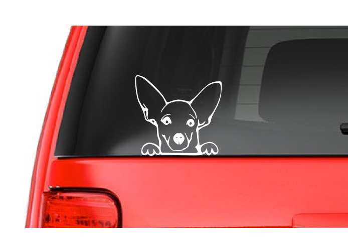 Chihuahua (A17) Vinyl Decal Sticker Car/Truck Laptop/Netbook Window
