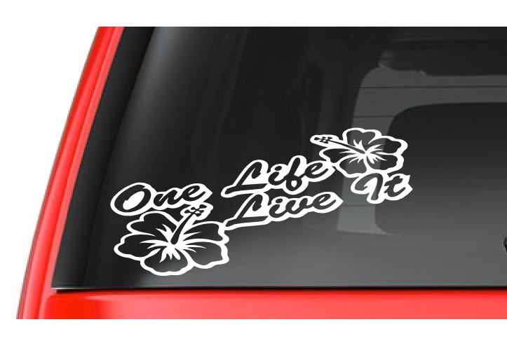 One Life Live It (T2) Vinyl Decal Sticker Car/Truck Laptop/Netbook Window